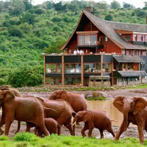 7 Nights Under The African Stars
