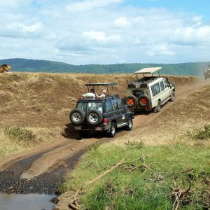 Tanzania Highlights Safari