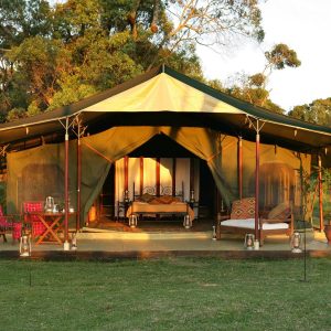 Wilderness in the City Experience By Nairobi Tented Camp